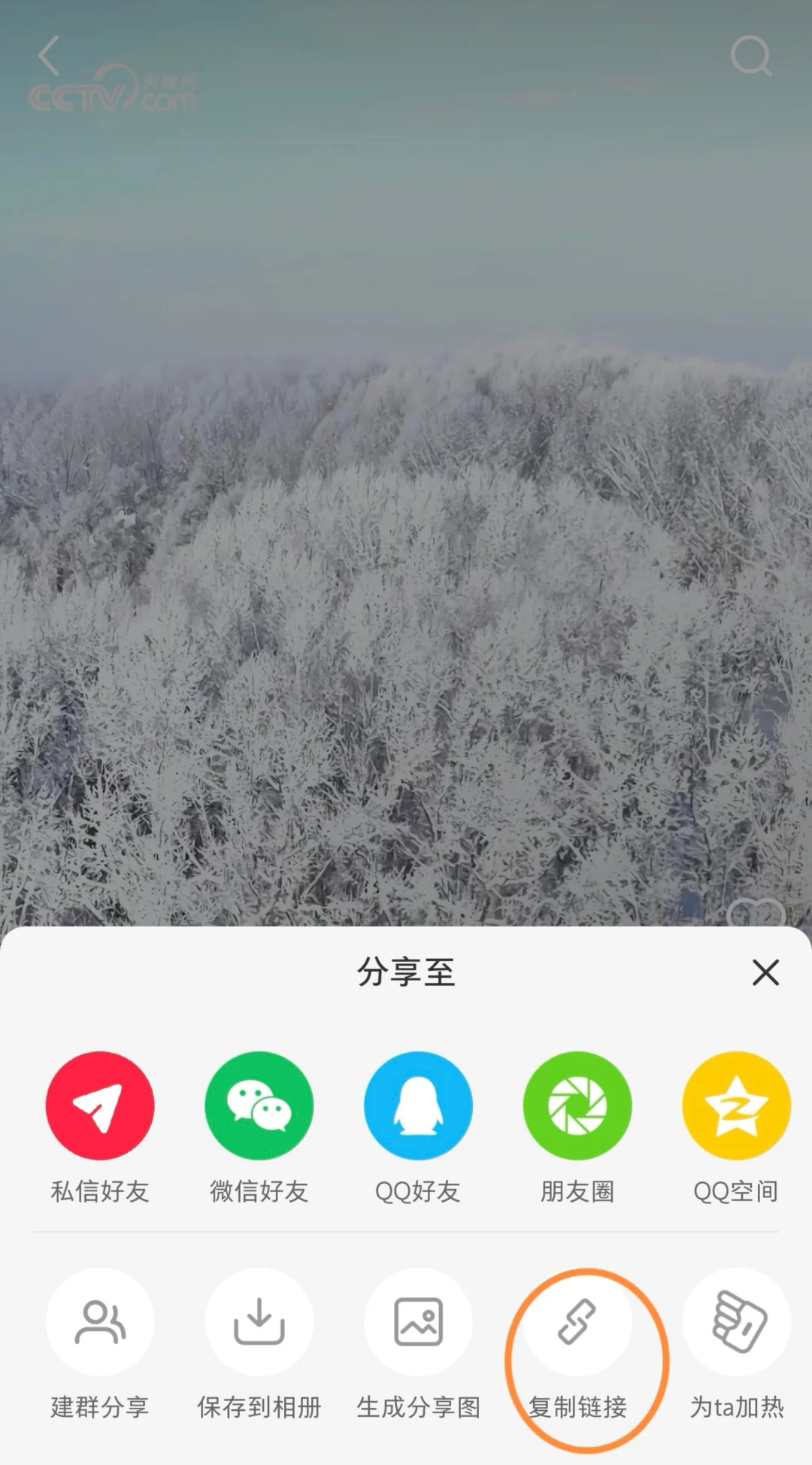 在小红书免费下载想要的视频