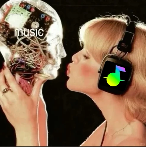 🎶告别歌荒！免费 + 全曲库 + 清爽界面