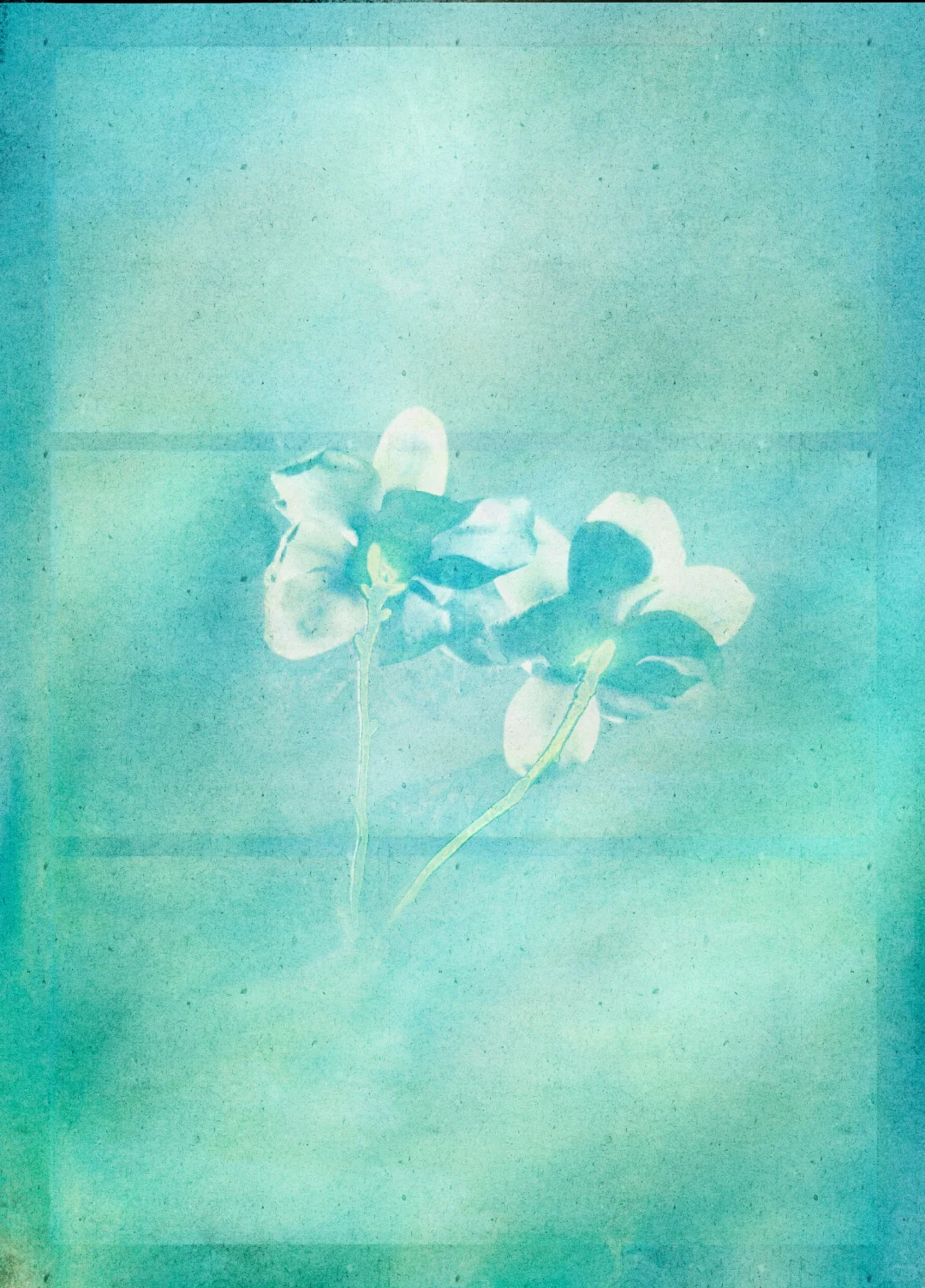 免费可商用底图分享-胧烟