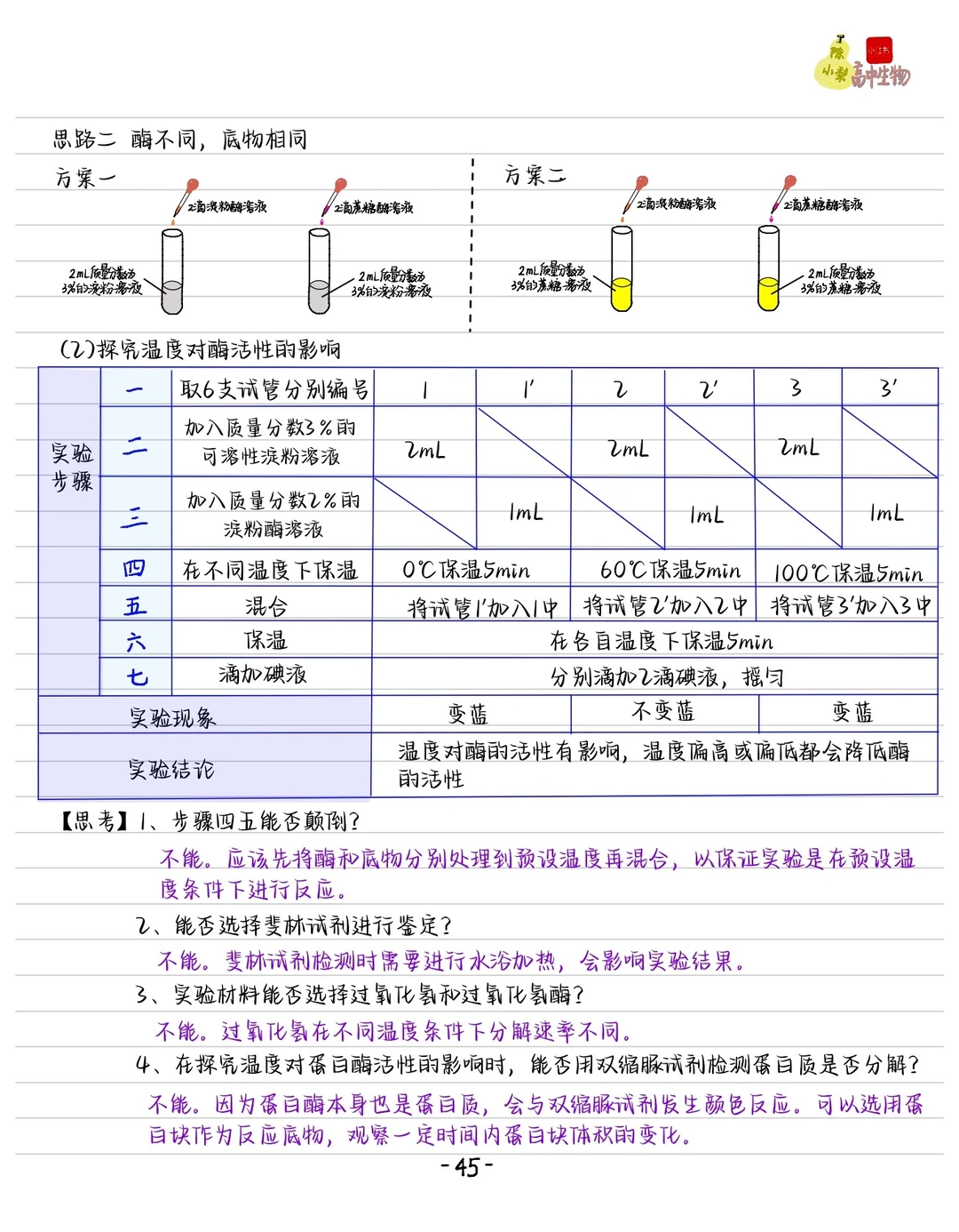 酶的笔记免费下载！？文件在拉到最底下