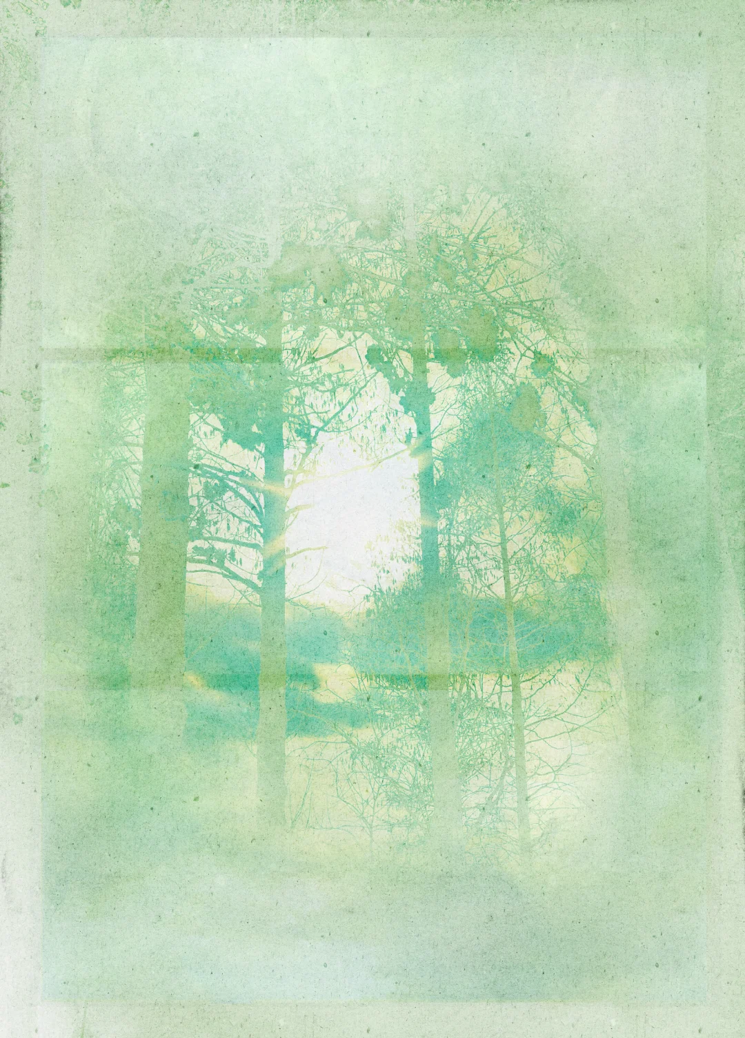 免费素材分享|沁光