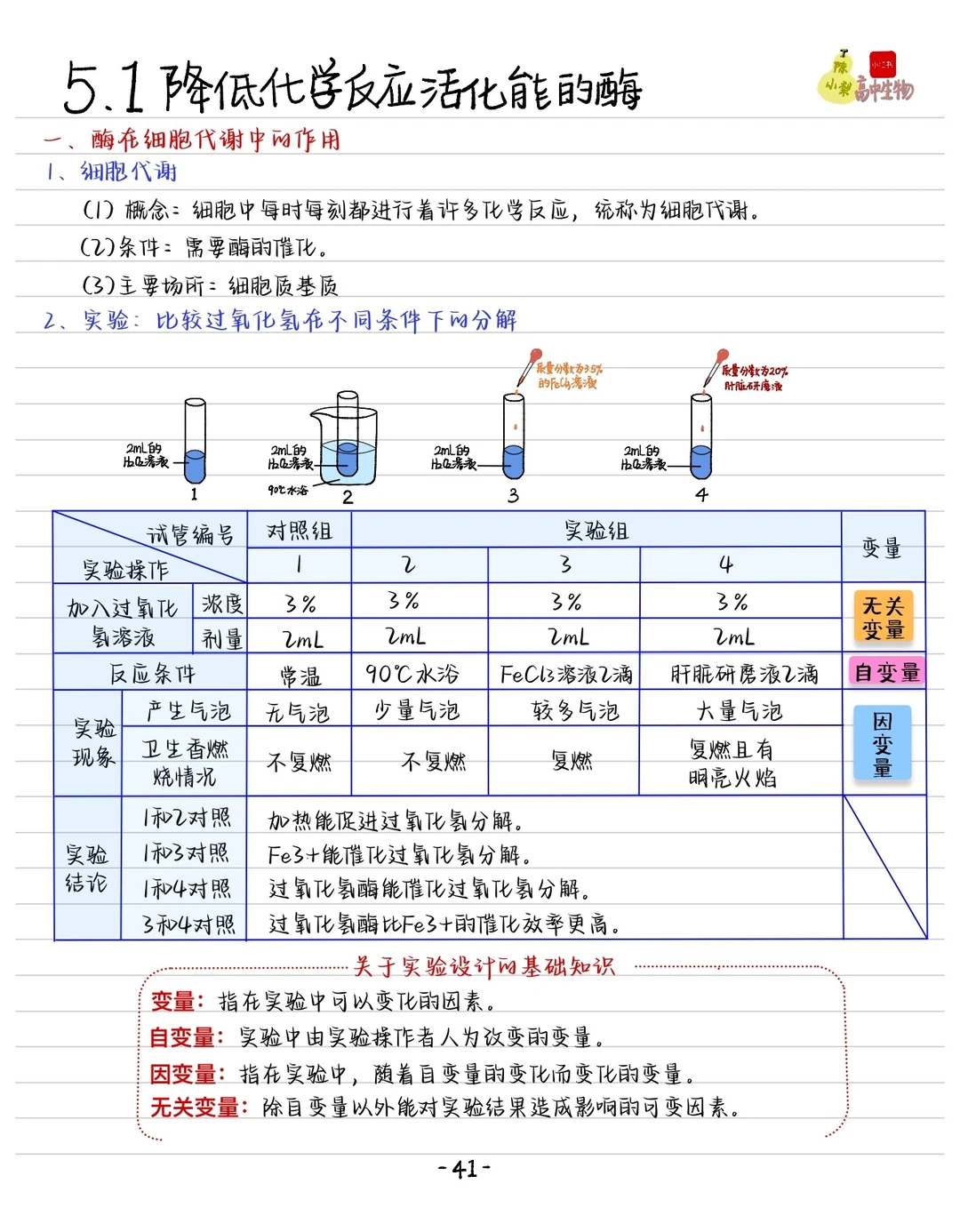 酶的笔记免费下载！？文件在拉到最底下