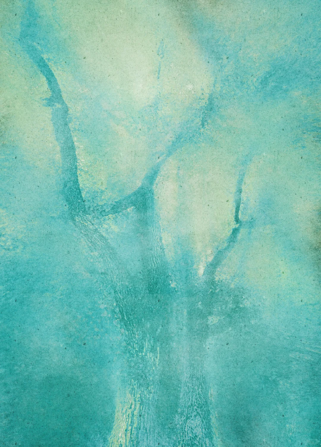 免费素材分享|沁光