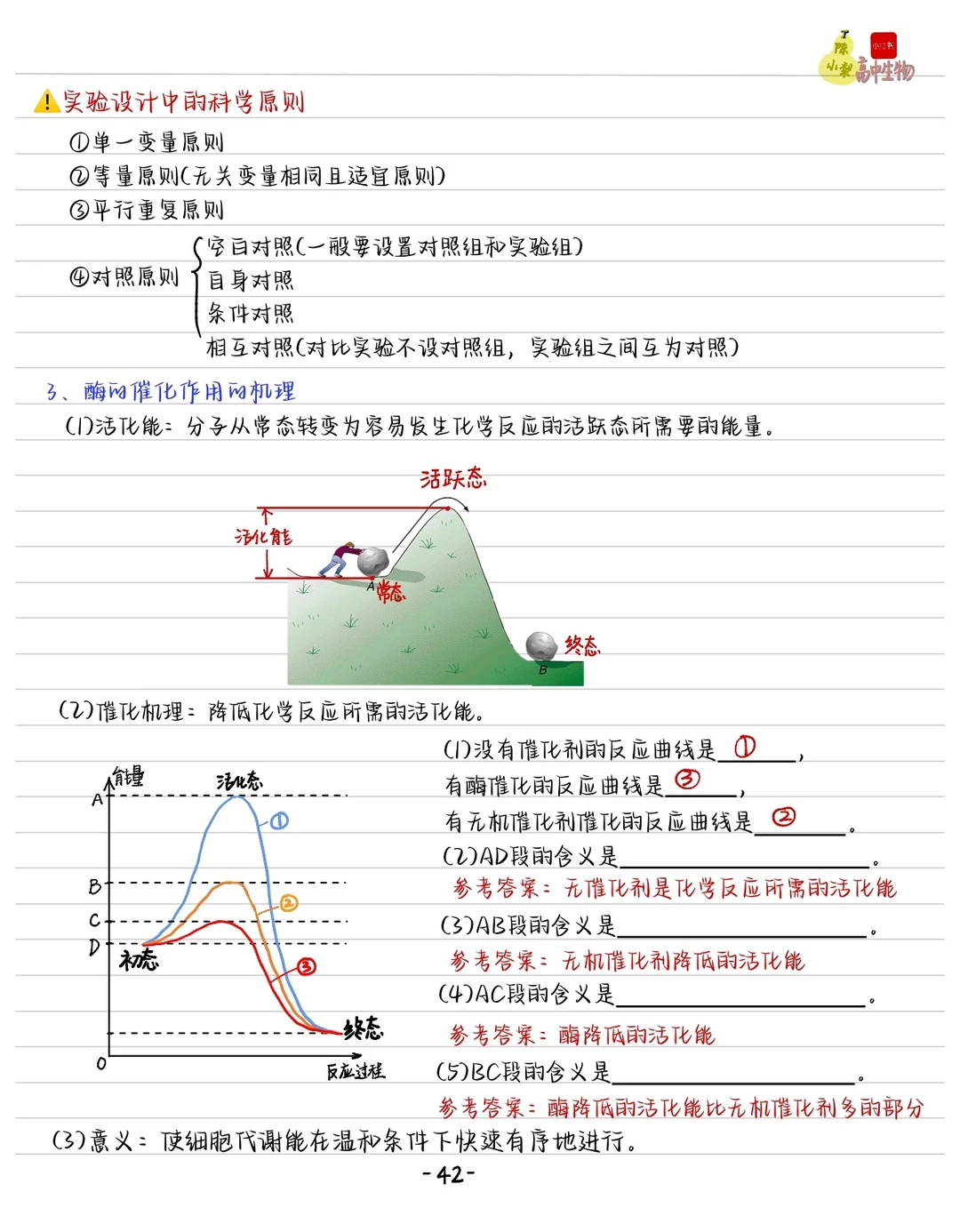 酶的笔记免费下载！？文件在拉到最底下