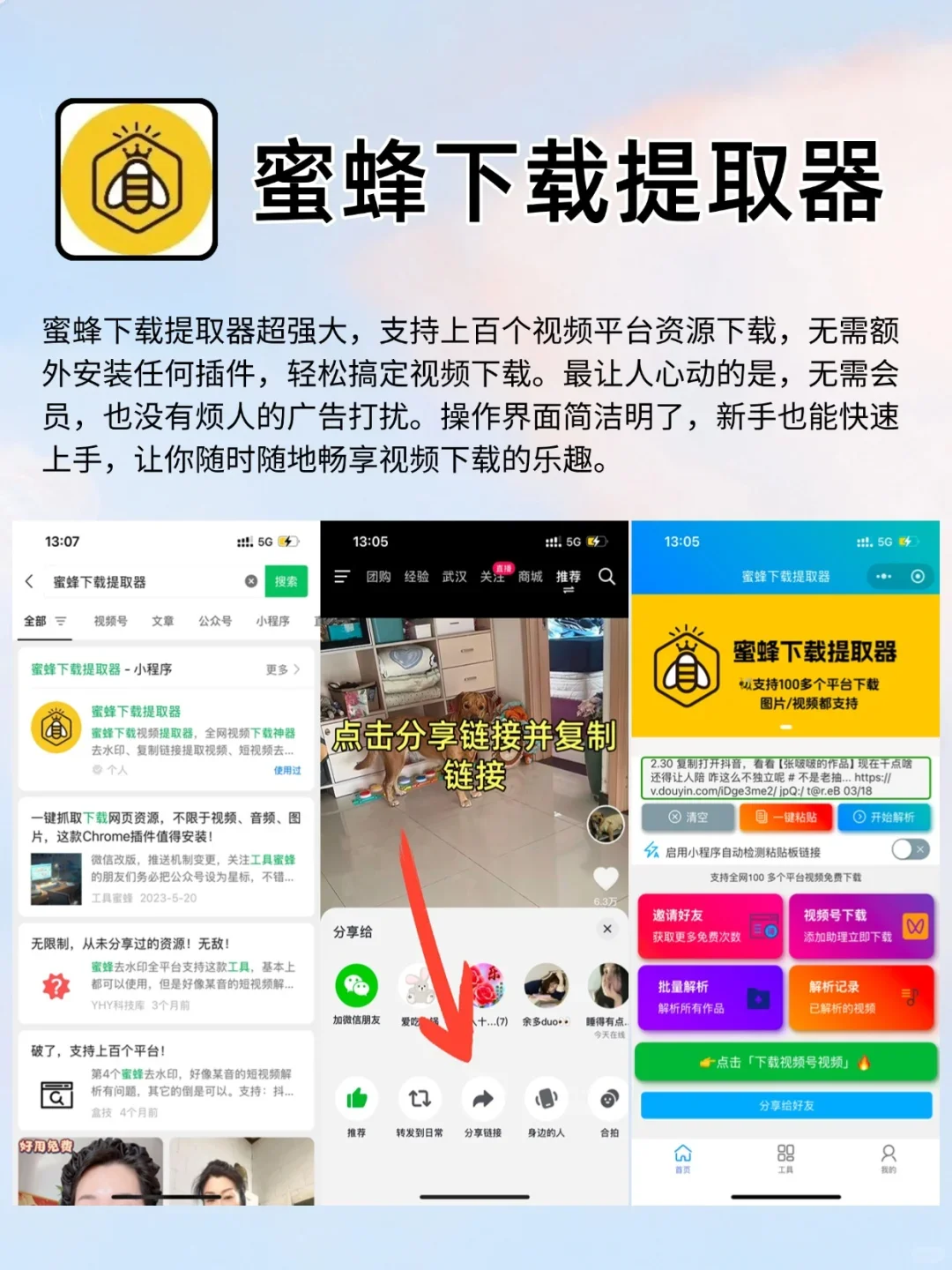 各大平台视频下载方法