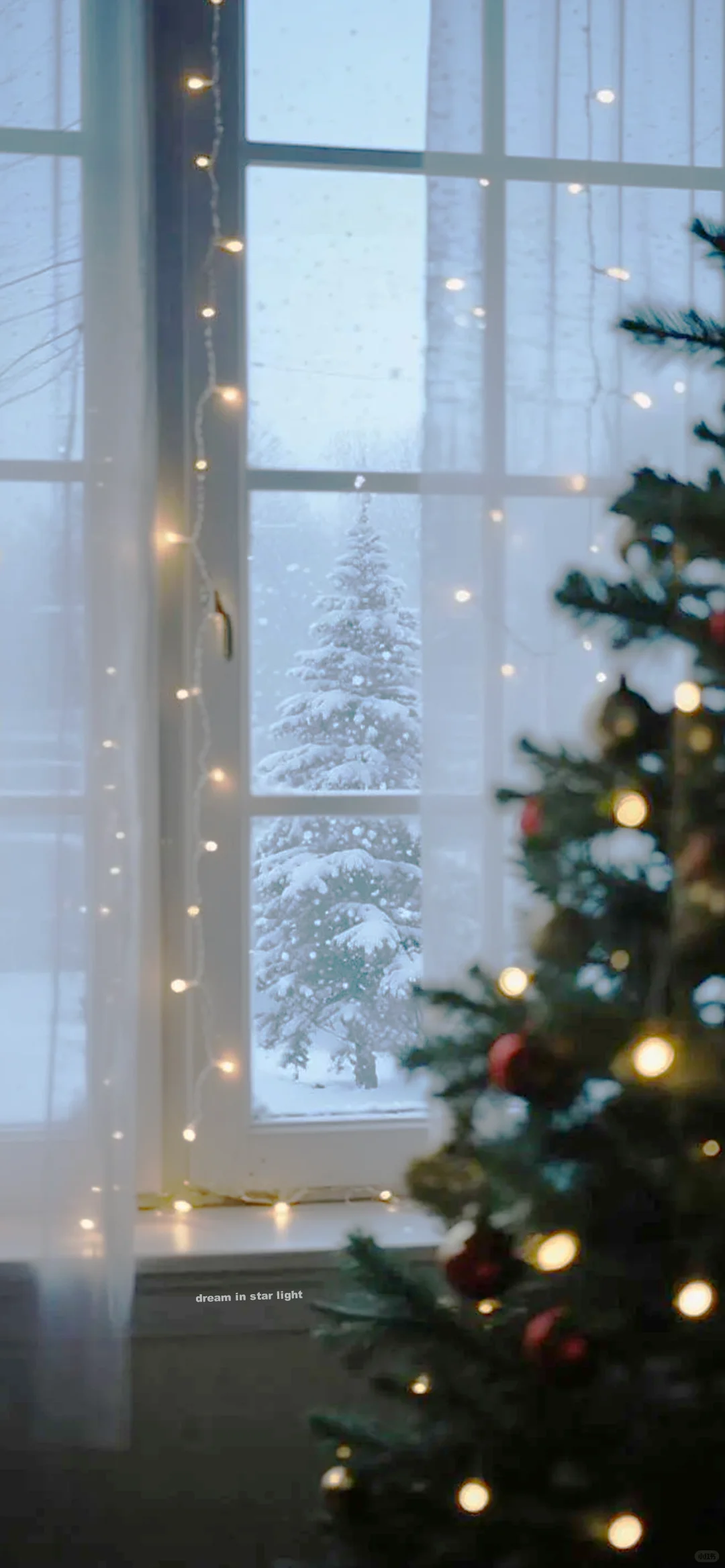 ❄️✨✨✨窗外雪落下的声音 🎄