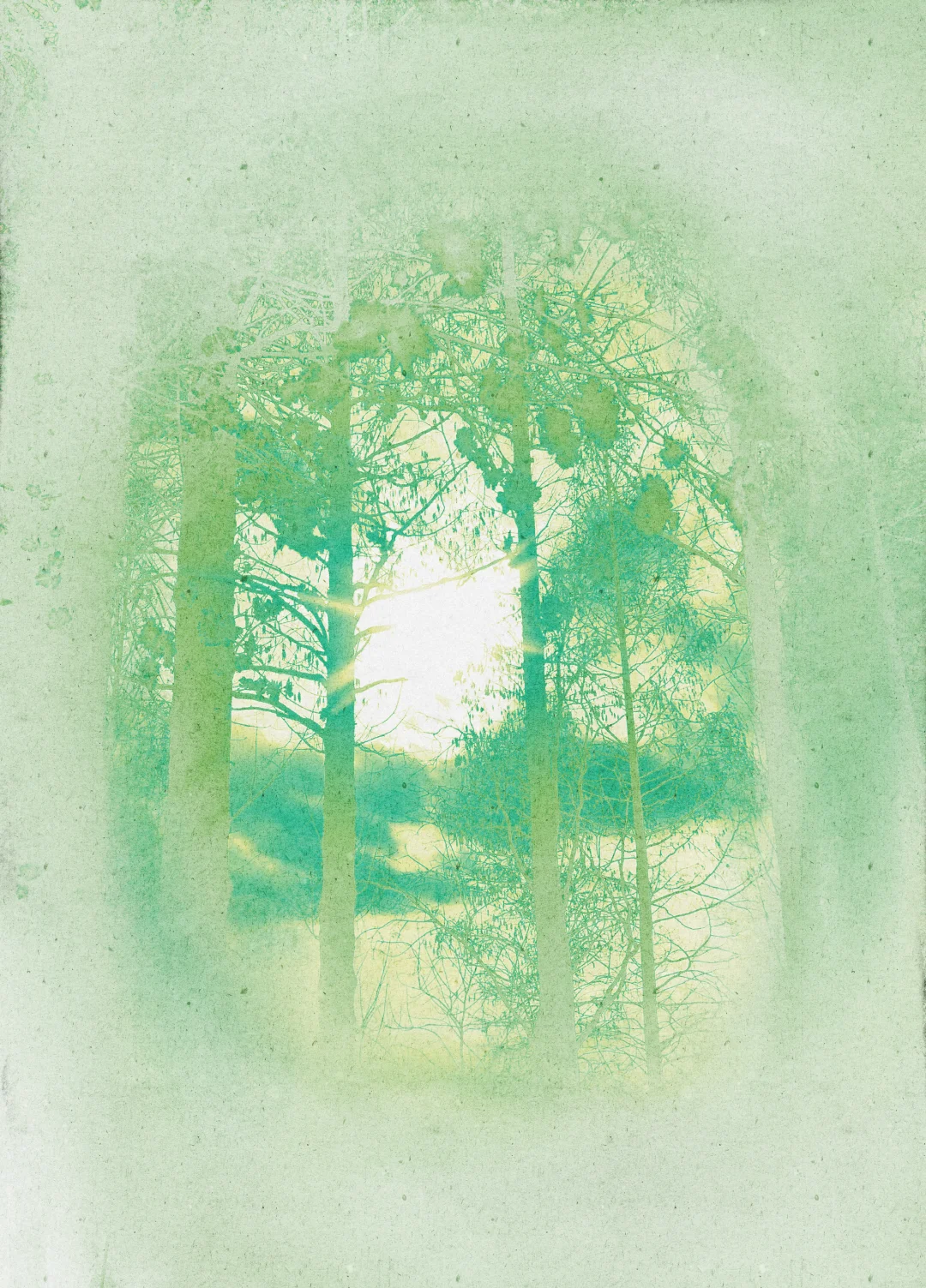 免费素材分享|沁光