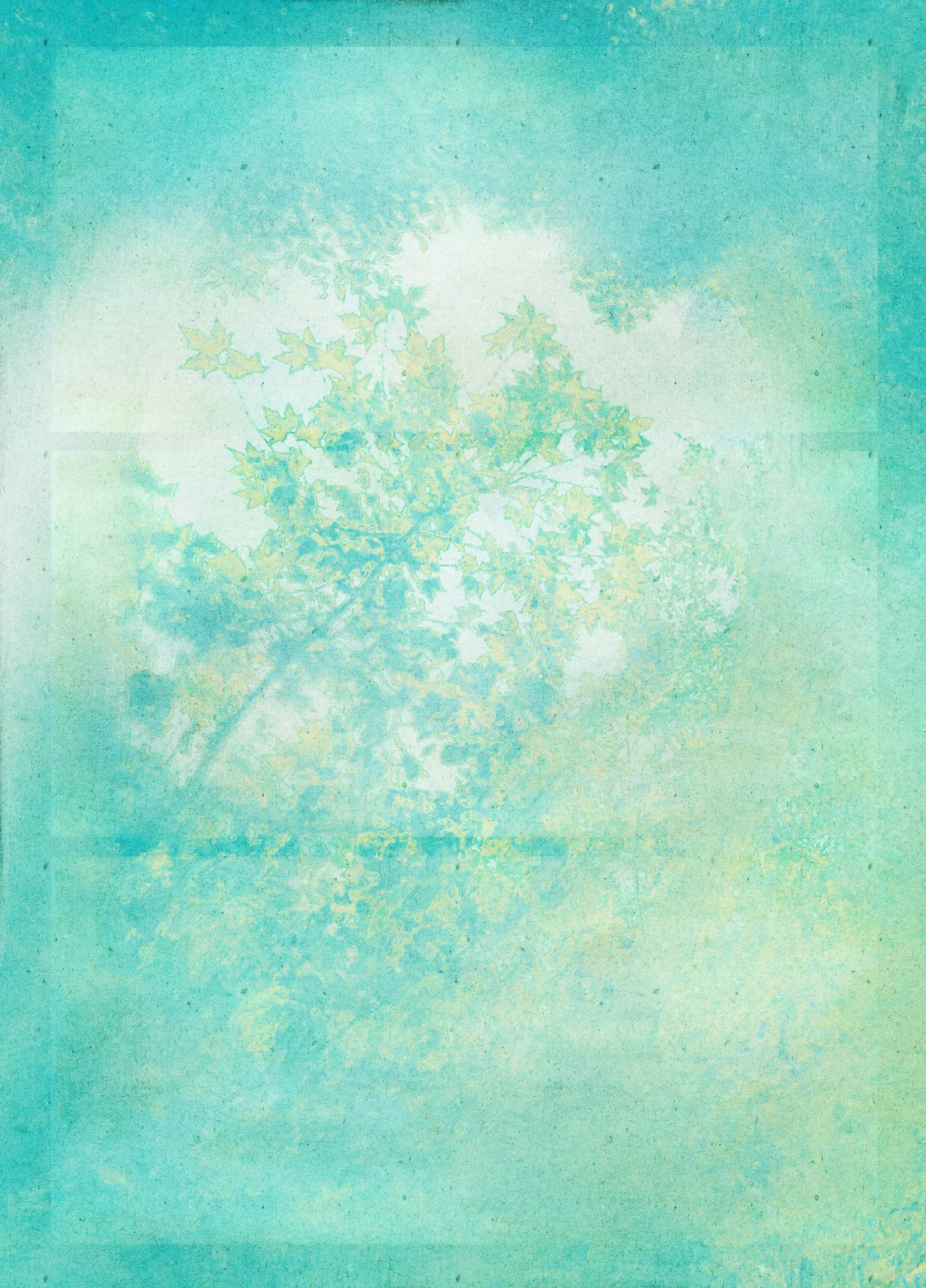 免费素材分享|沁光