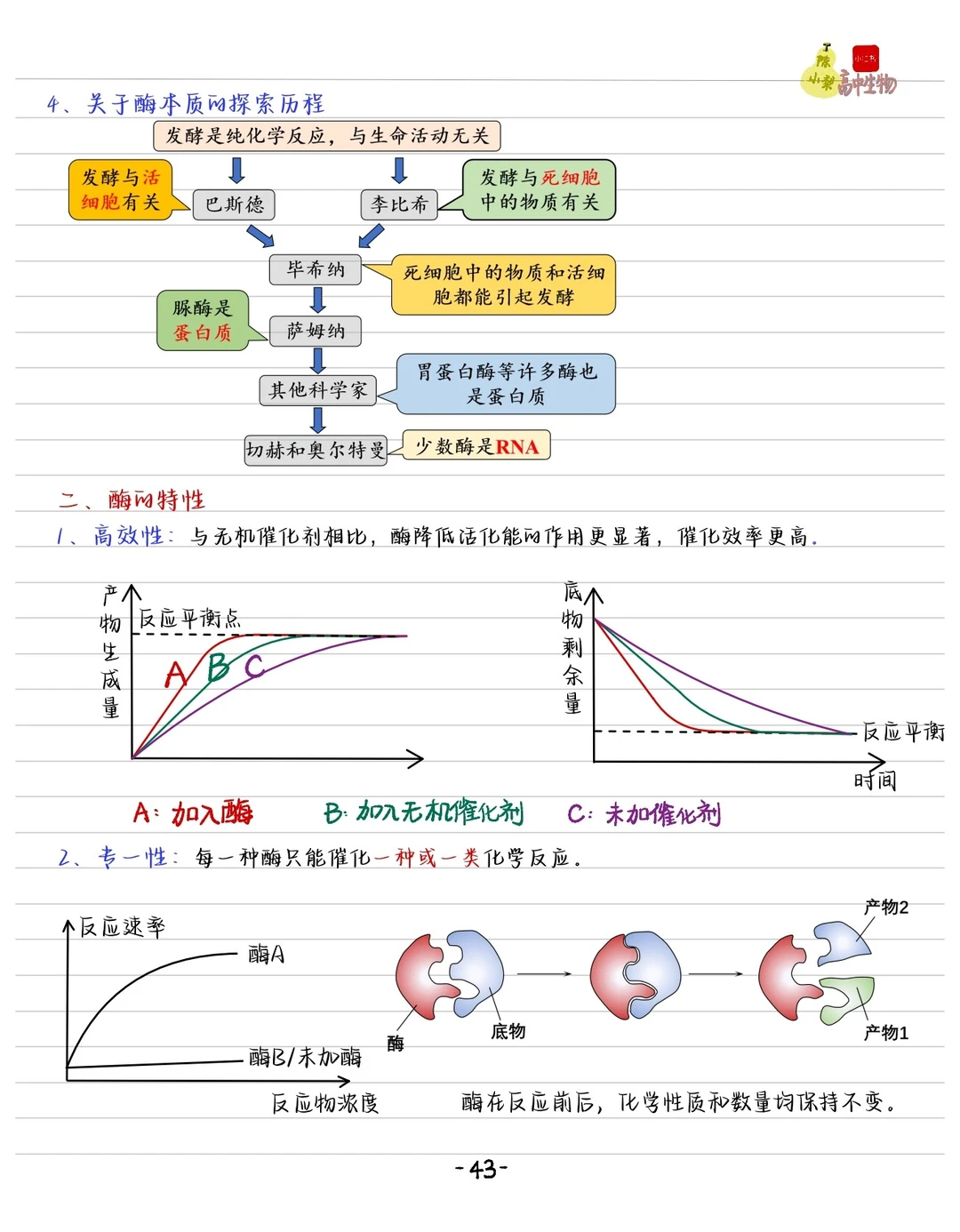 酶的笔记免费下载！？文件在拉到最底下