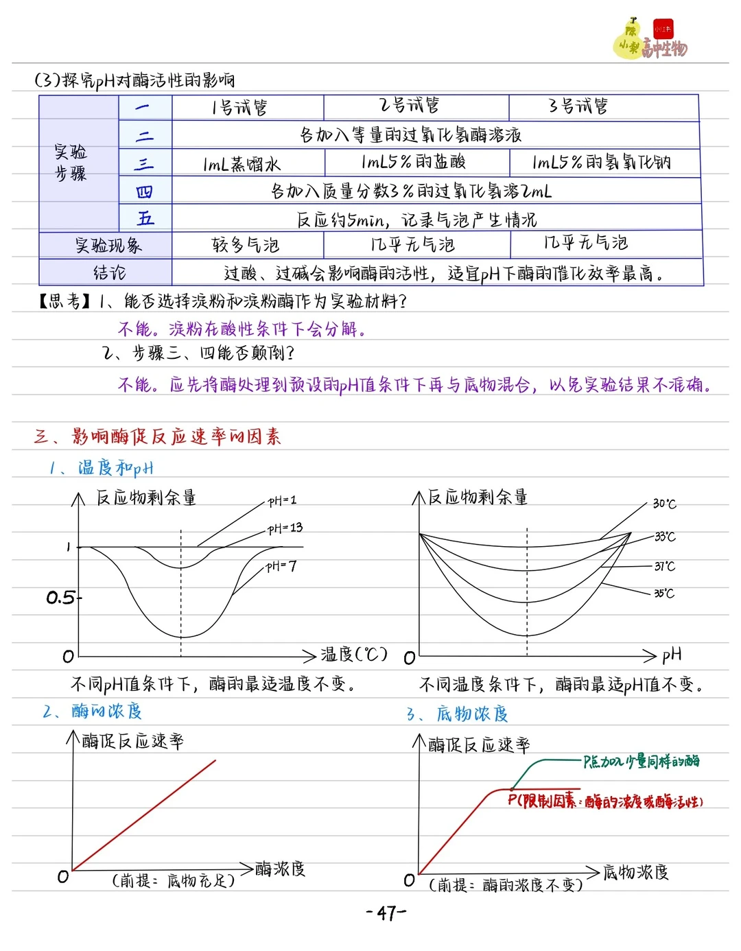 酶的笔记免费下载！？文件在拉到最底下