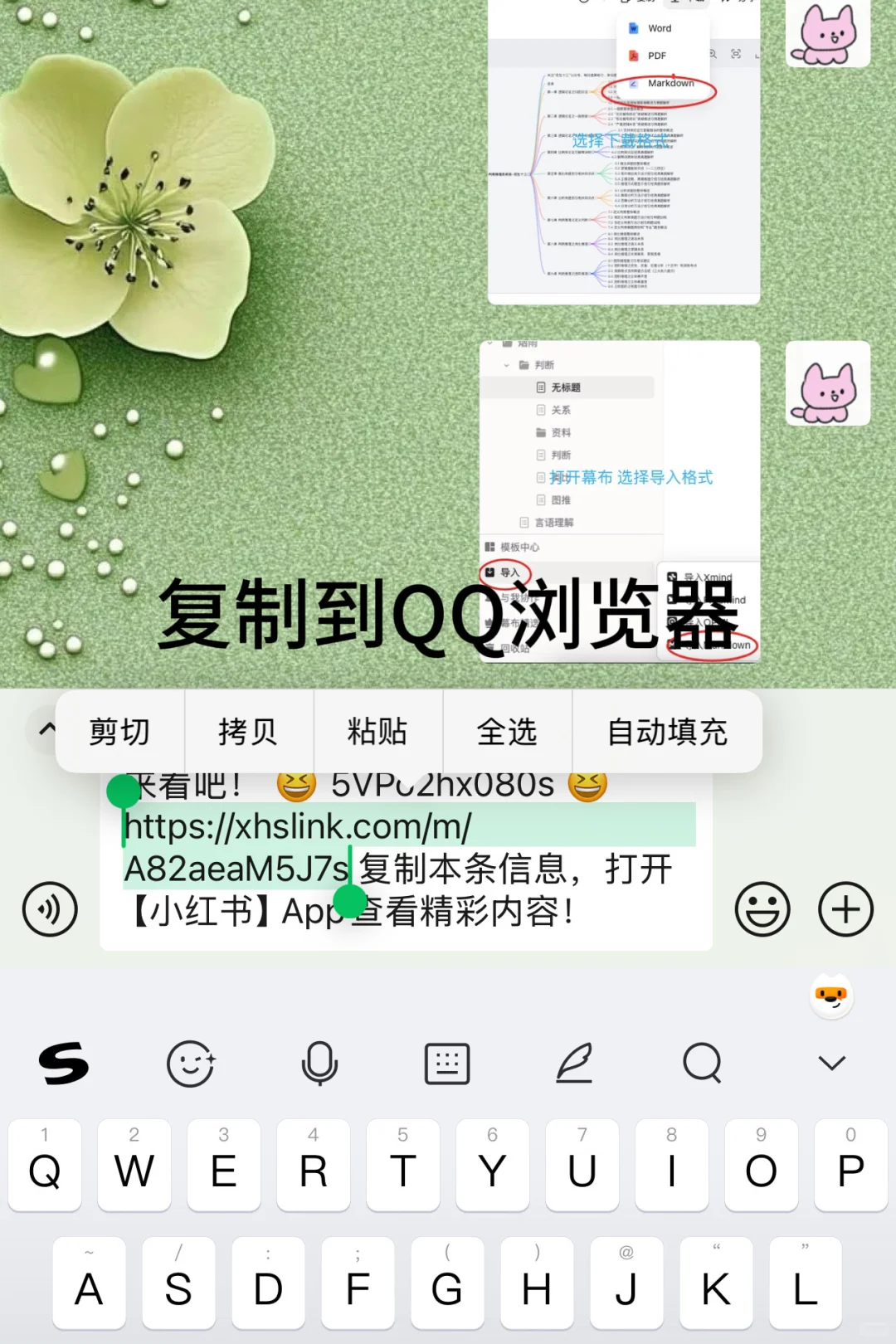 一步！搞定小红书无水印视频保存
