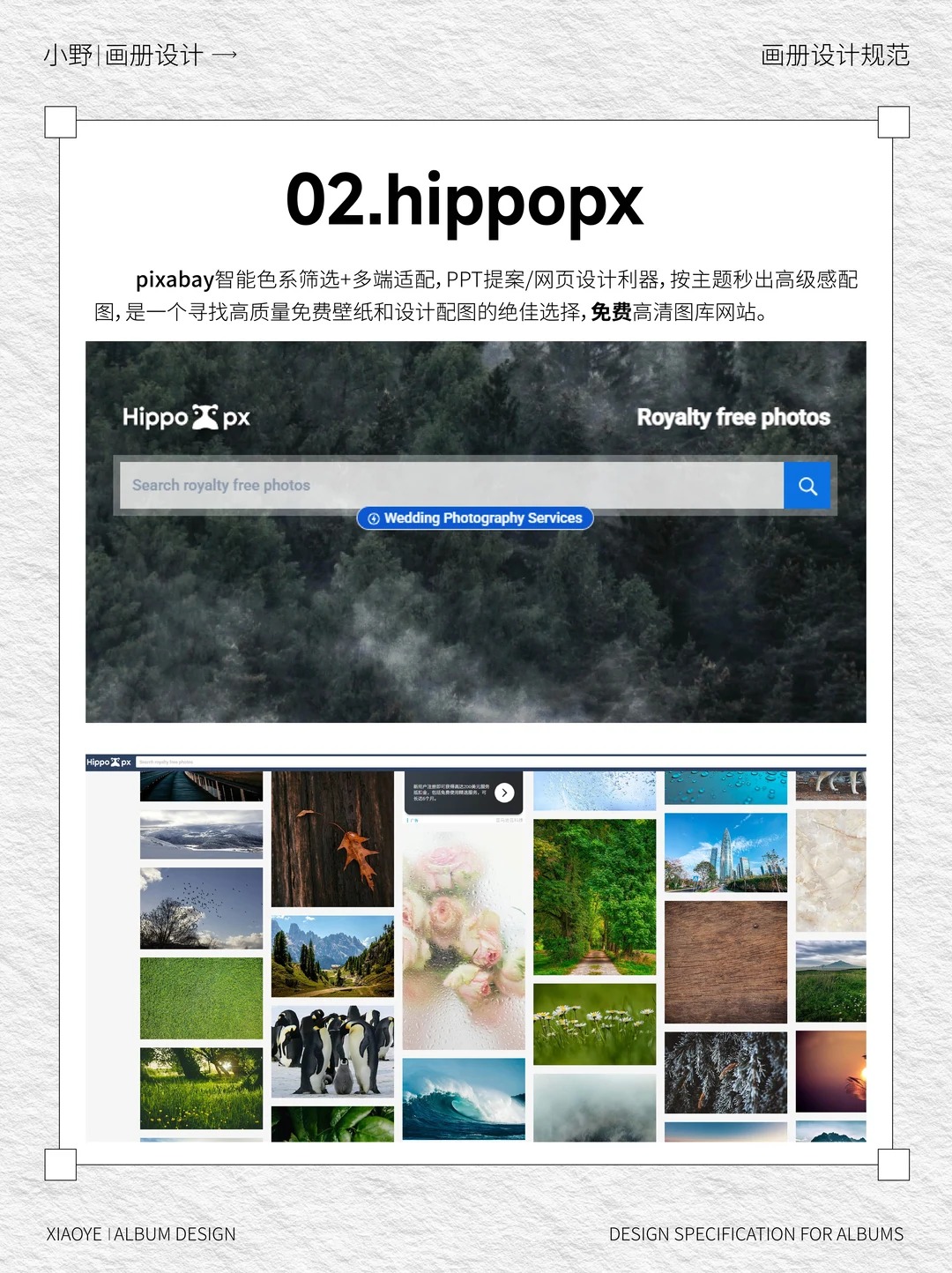 🔥免费无版权图片网站分享