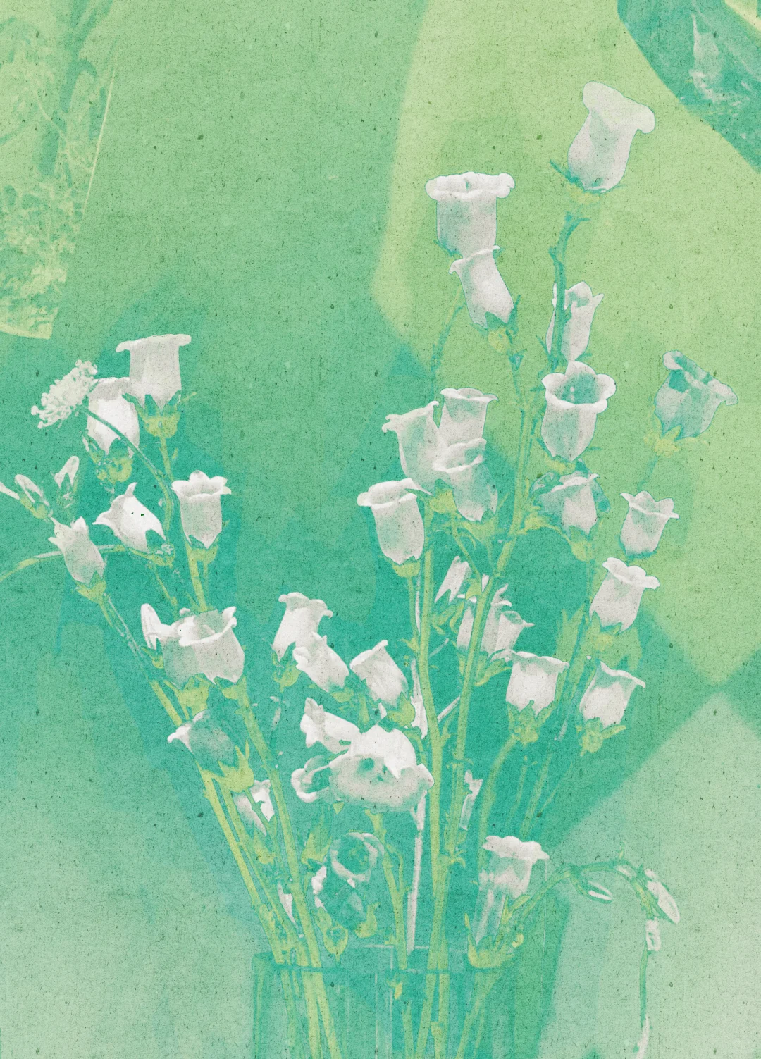 免费可商用底图分享-柚青