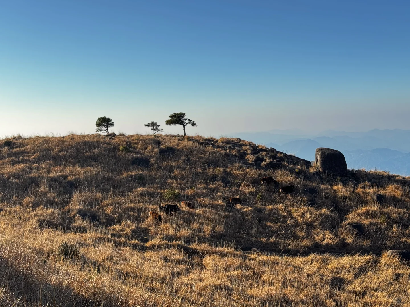 No.20莆田石谷解｜人生无解 石谷解！