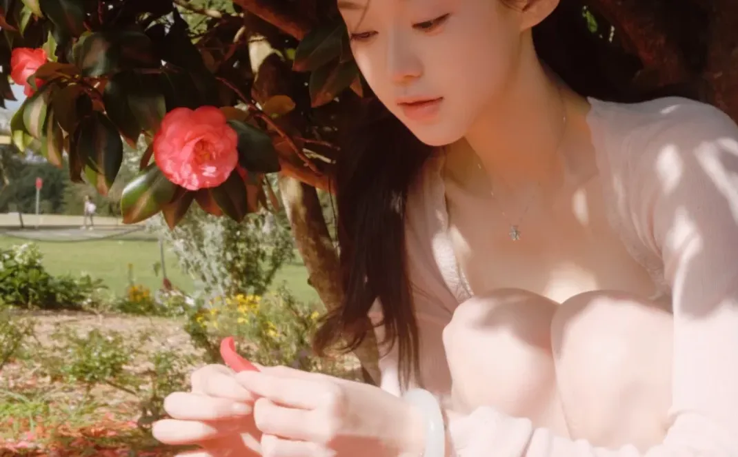 分享一个Dazz隐藏福利：免费解🔒永久会员！