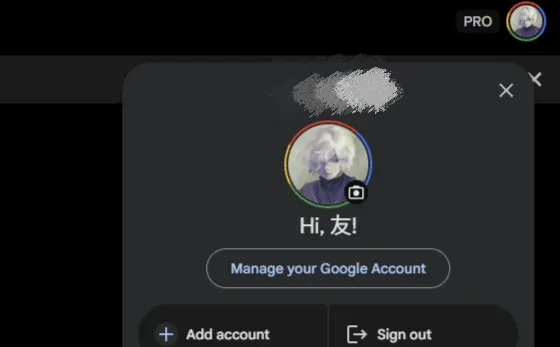 亲测免费Gemini一年pro订阅