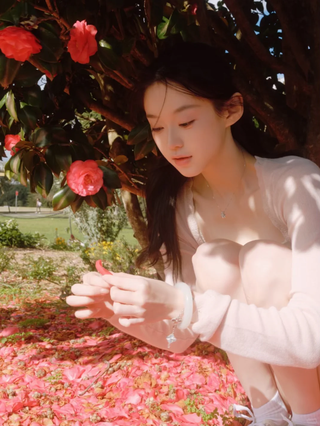 分享一个Dazz隐藏福利：免费解🔒永久会员！