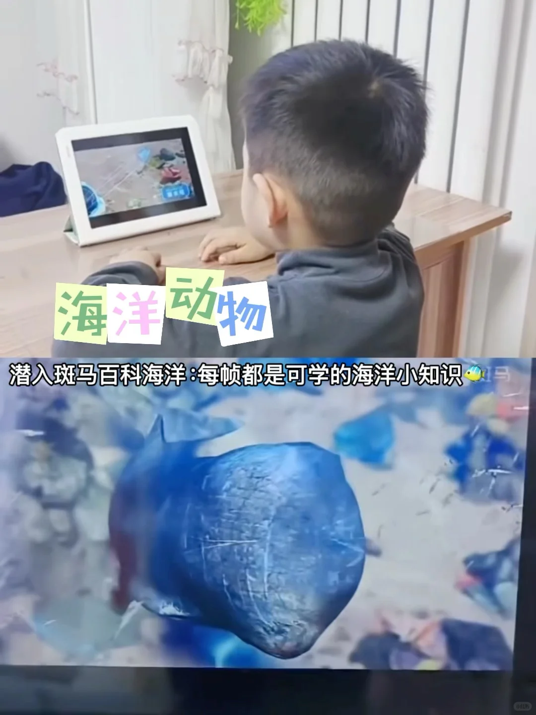 我差点以为看错，现在真的免费了😱