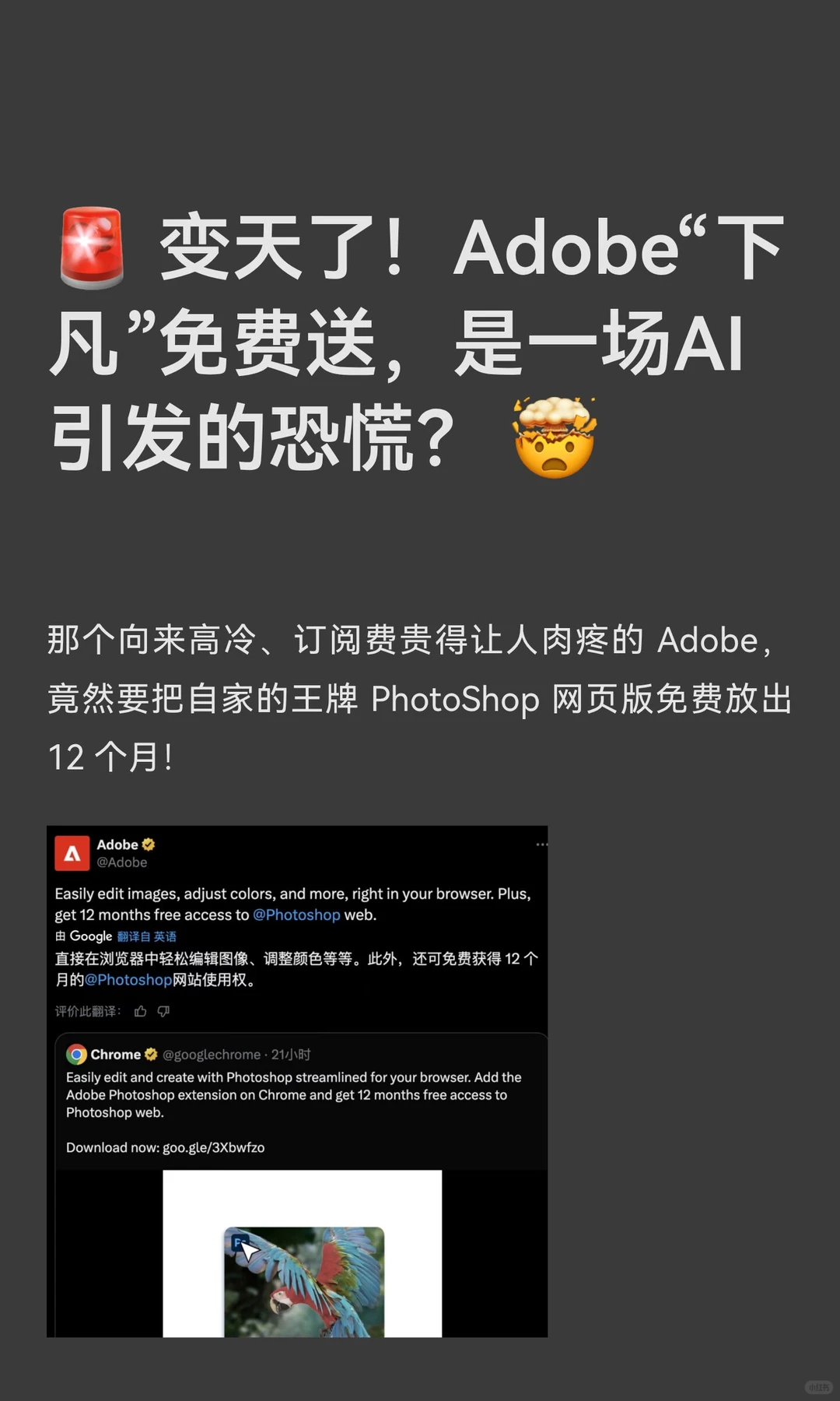 🚨 变天了！Adobe“下凡”免费送，是一场