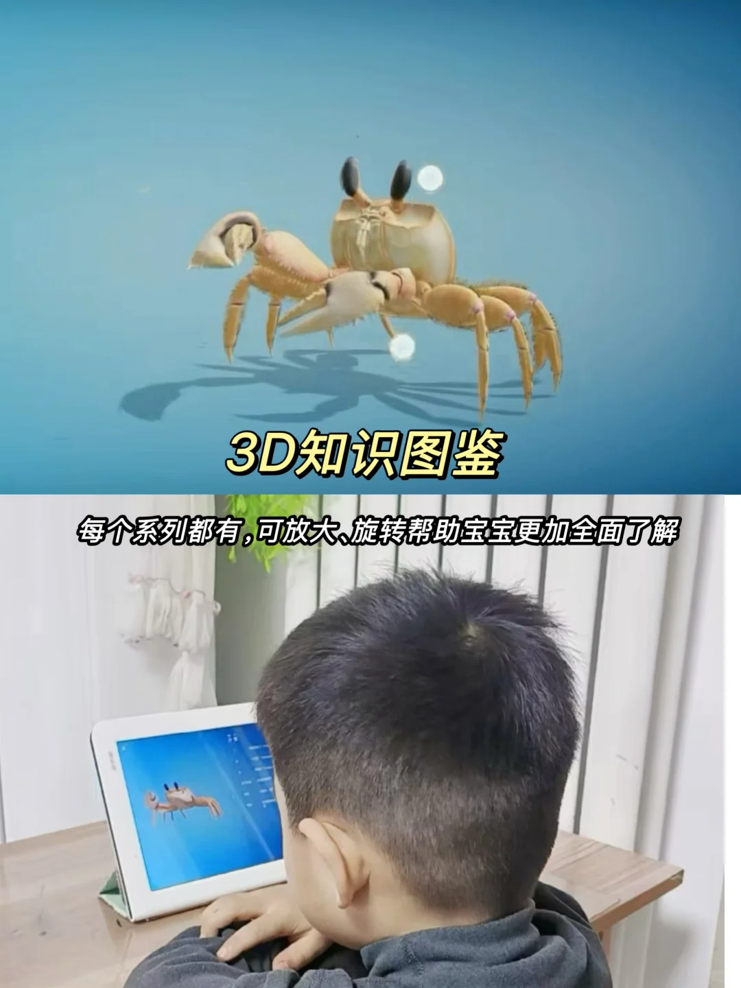 我差点以为看错，现在真的免费了😱