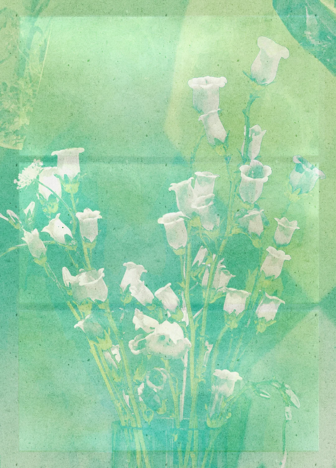 免费可商用底图分享-柚青