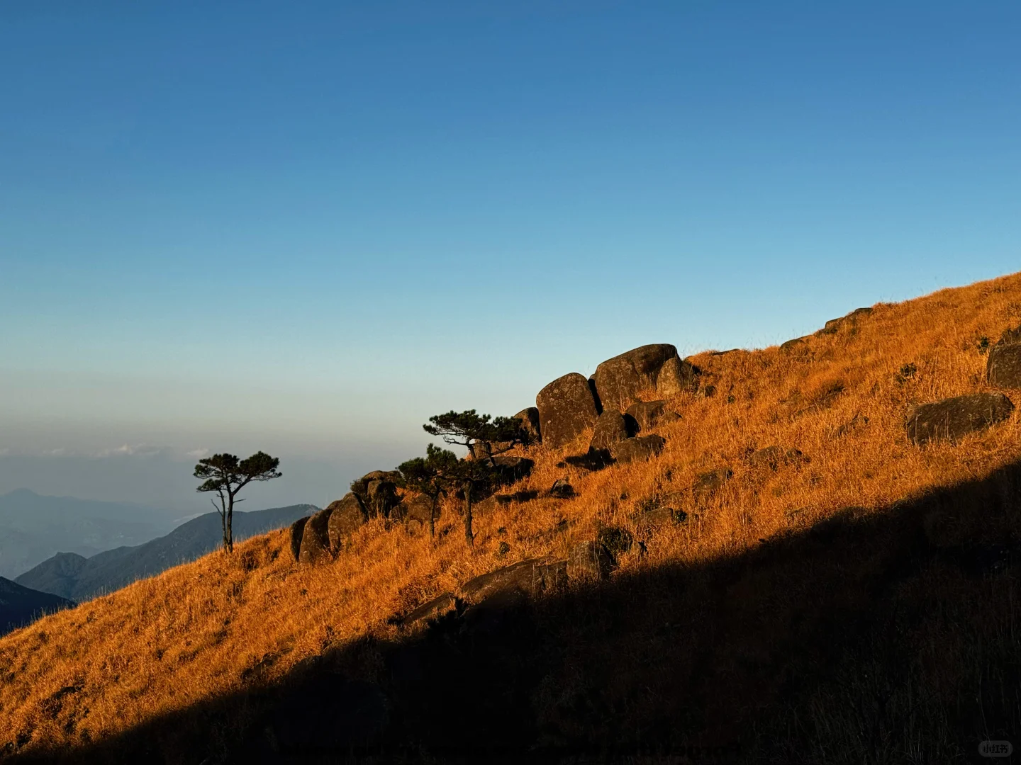 No.20莆田石谷解｜人生无解 石谷解！