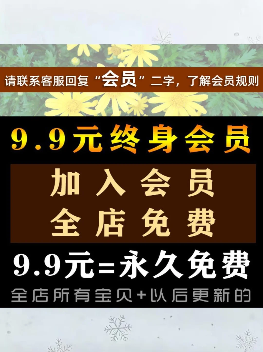 🌊VIP会员免费下载素材！太香了！