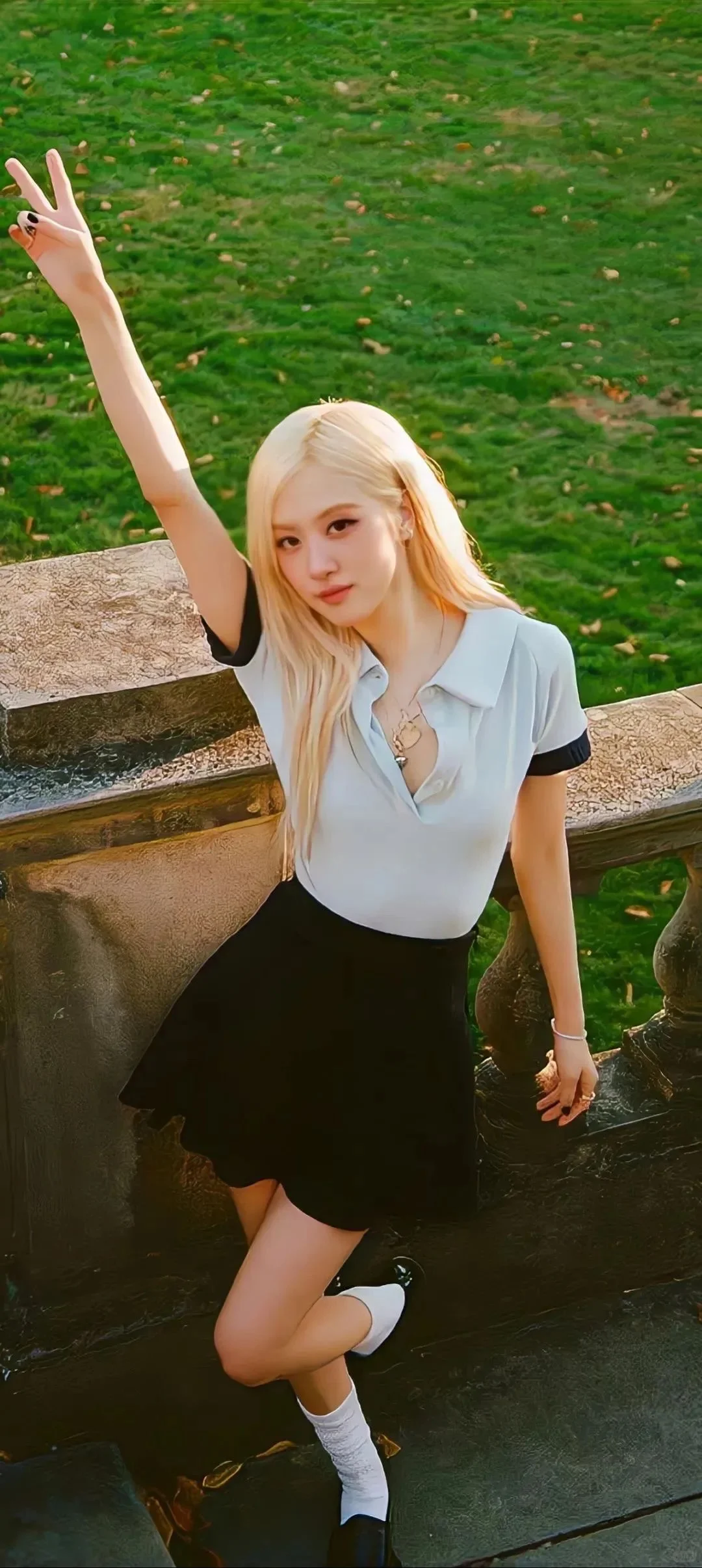 iPhone rose绝美高清壁纸 免费分享