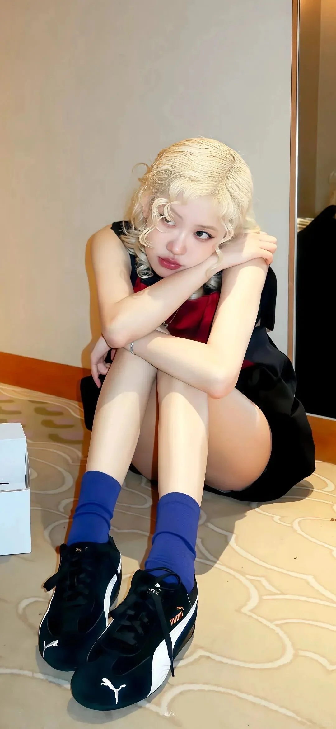 iPhone rose绝美高清壁纸 免费分享