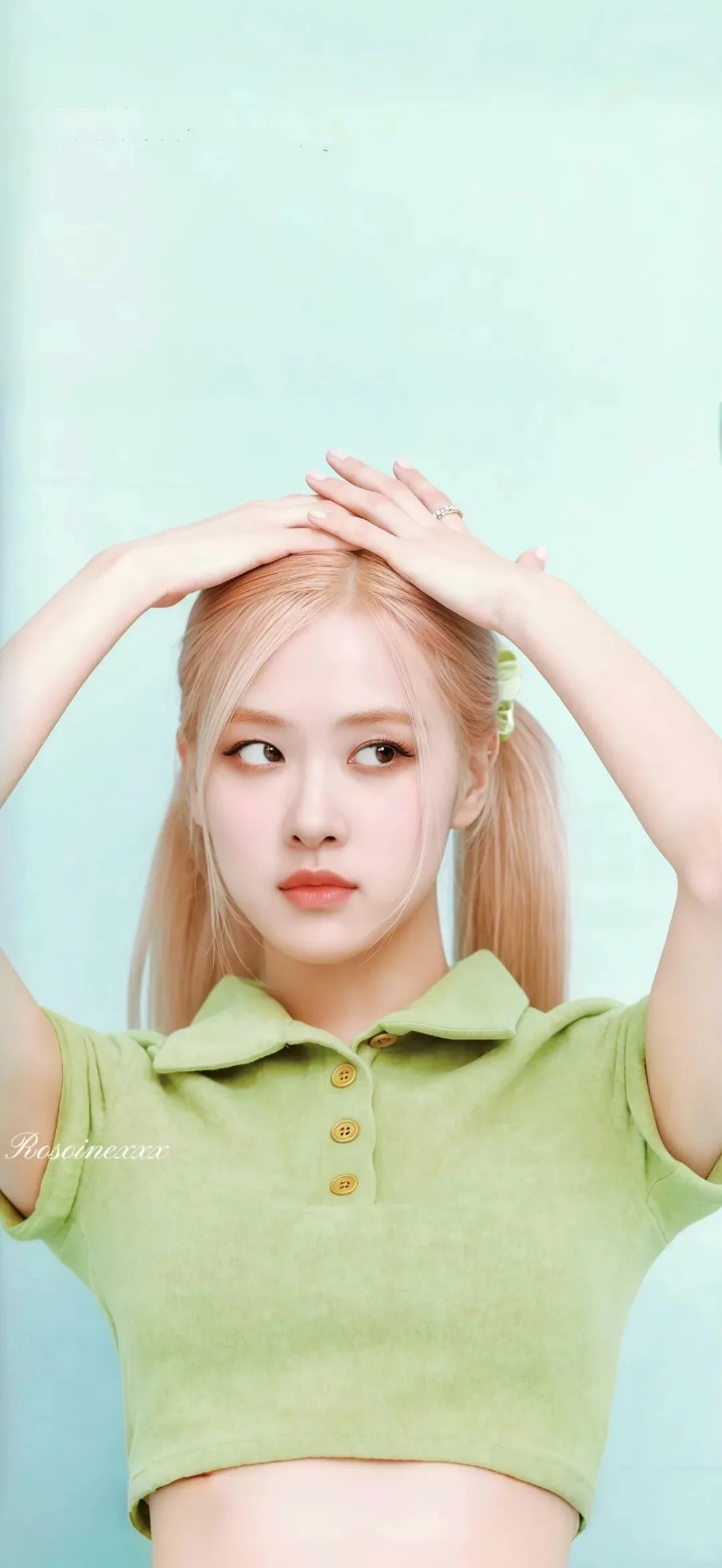 iPhone rose绝美高清壁纸 免费分享