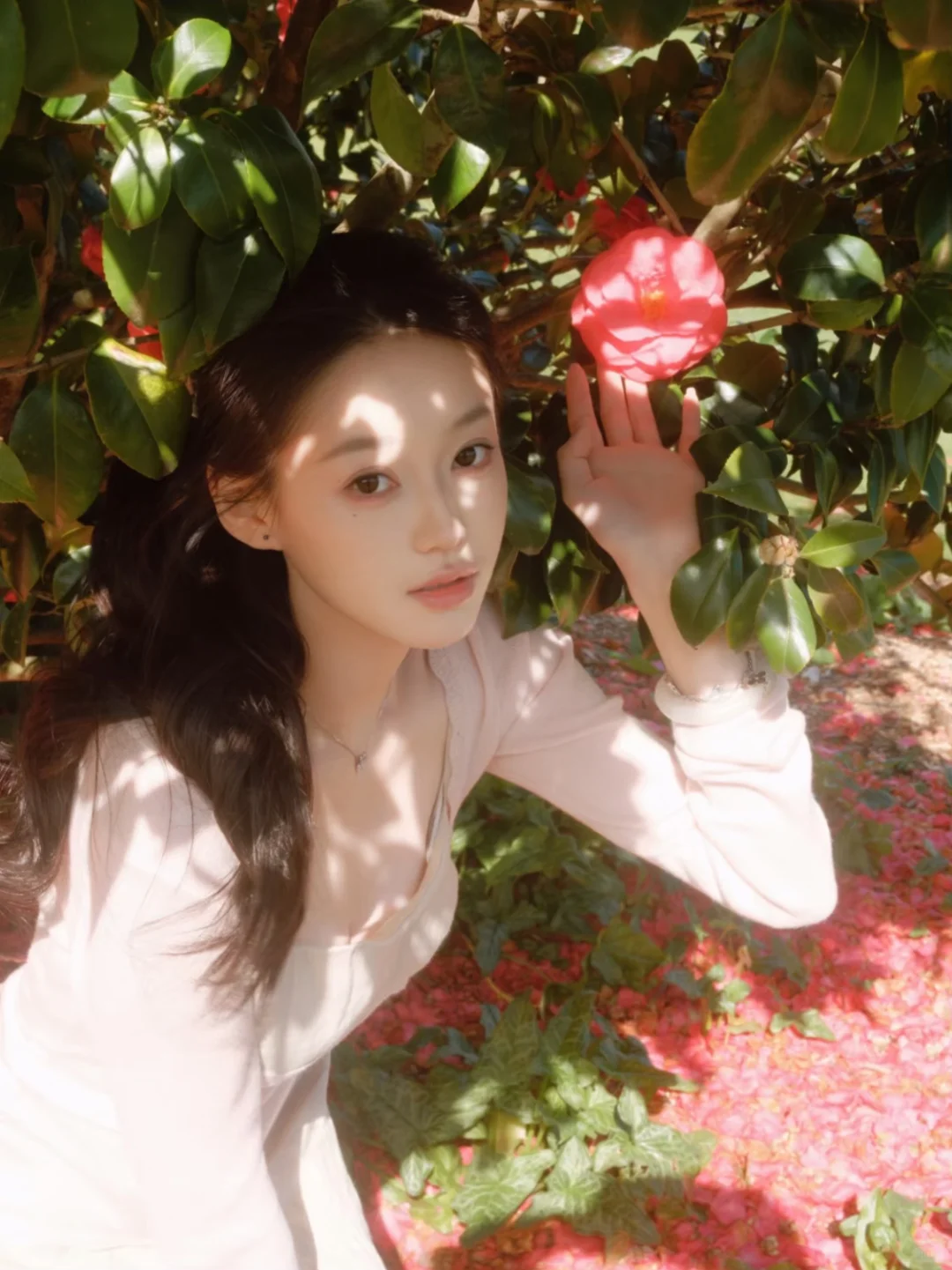 分享一个Dazz隐藏福利：免费解🔒永久会员！