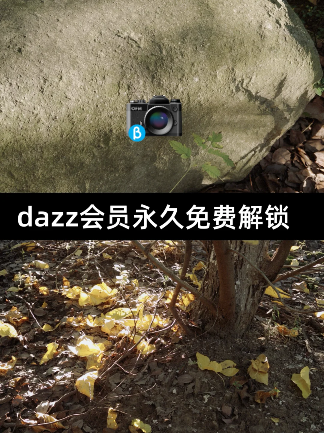 天呐！dazz相机免费会员居然可以这样拿了！