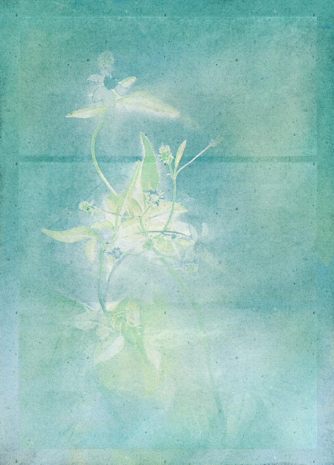 免费可商用底图分享-柚青