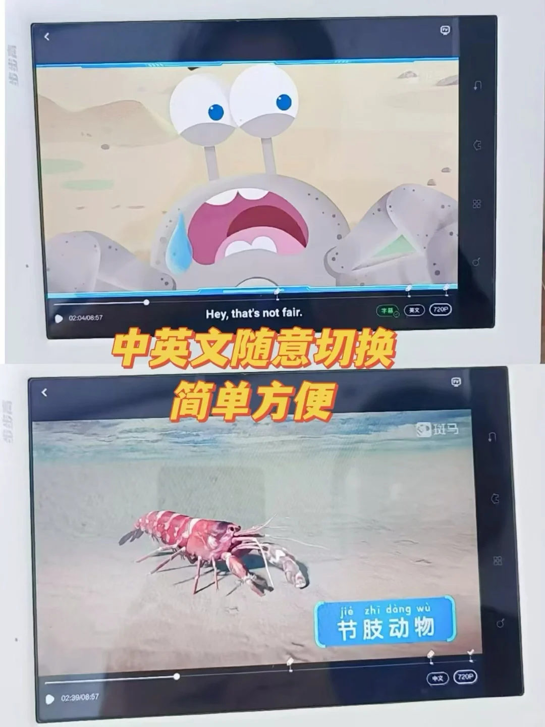 我差点以为看错，现在真的免费了😱