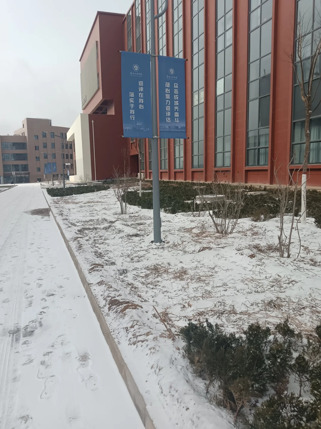 别人放假我学习，我爱学习，学习使我快乐！