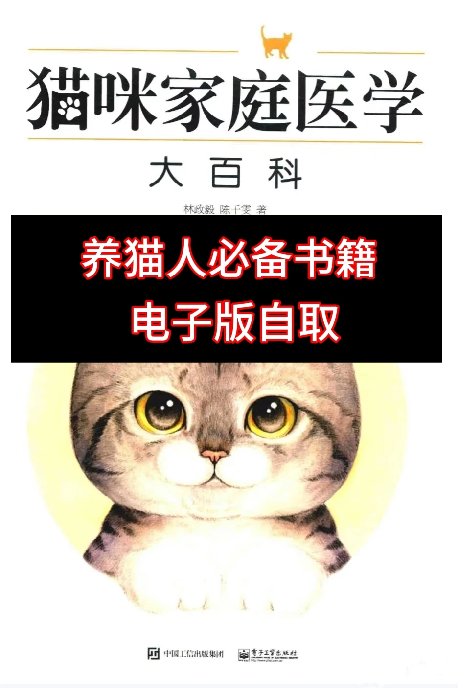 养猫人必备书籍免费下载！［好书推荐］