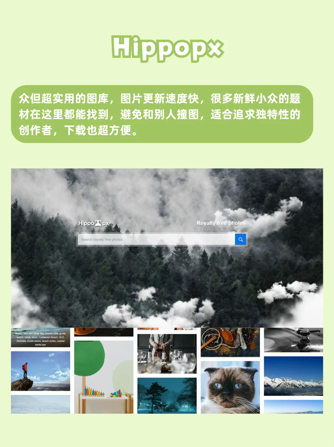 免版权图库素材网站，这6个请务必码住