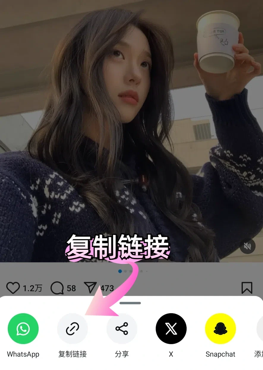 💖教你如何免费下载instagram视频&快拍