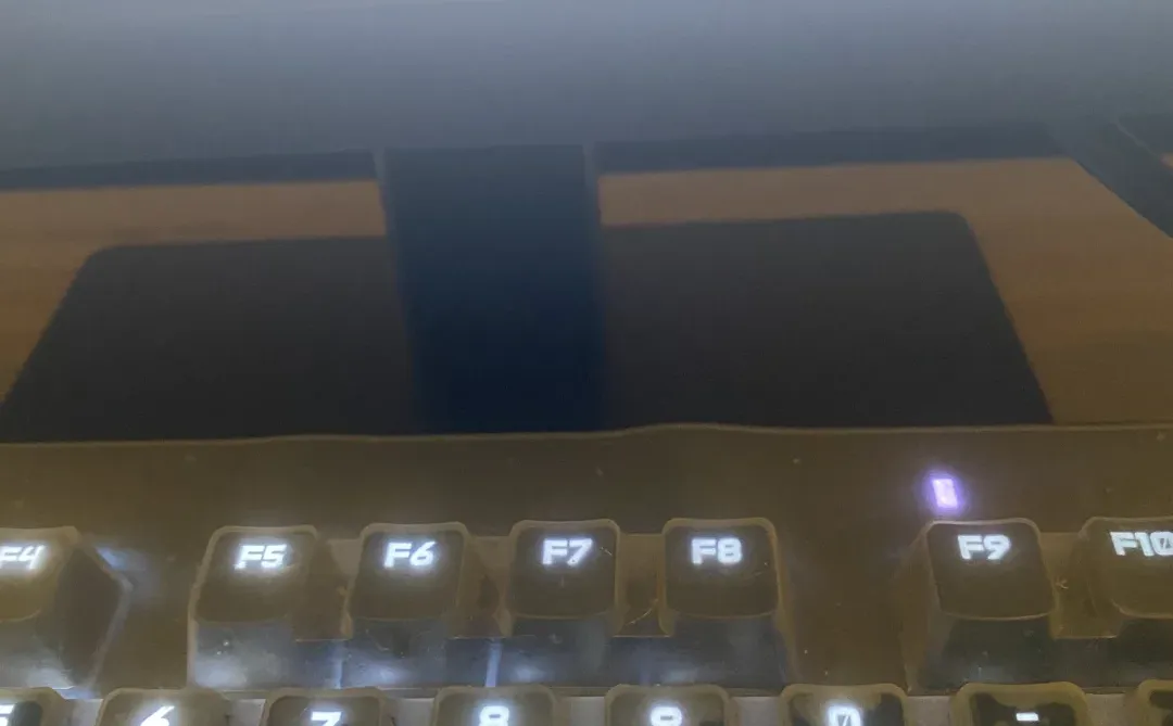 小红书视频怎么下载呢