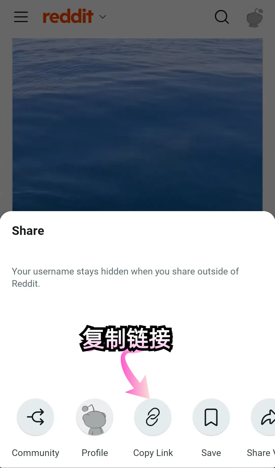 🔥免费保存Reddit视频不求人！简单教程