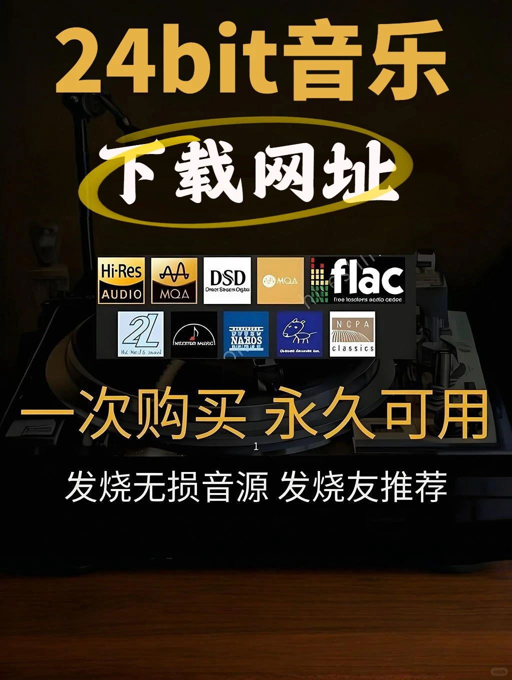 24bit音乐下载网址，HIFI发烧友私藏✅️