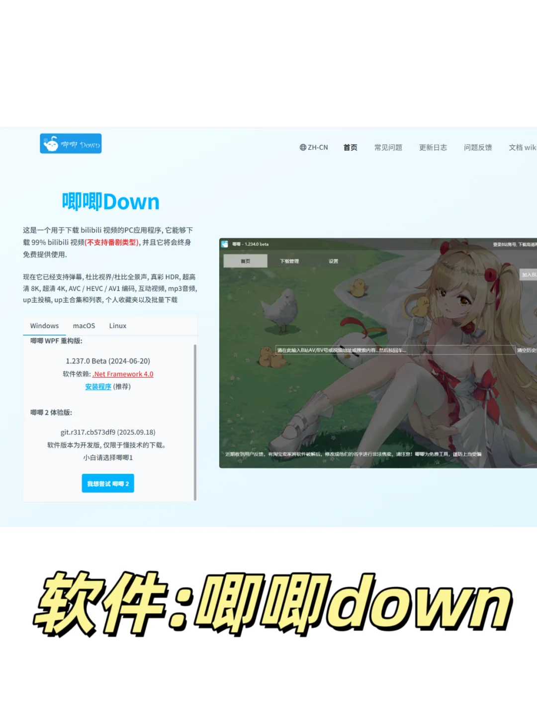 第二个其他视频也能下👍