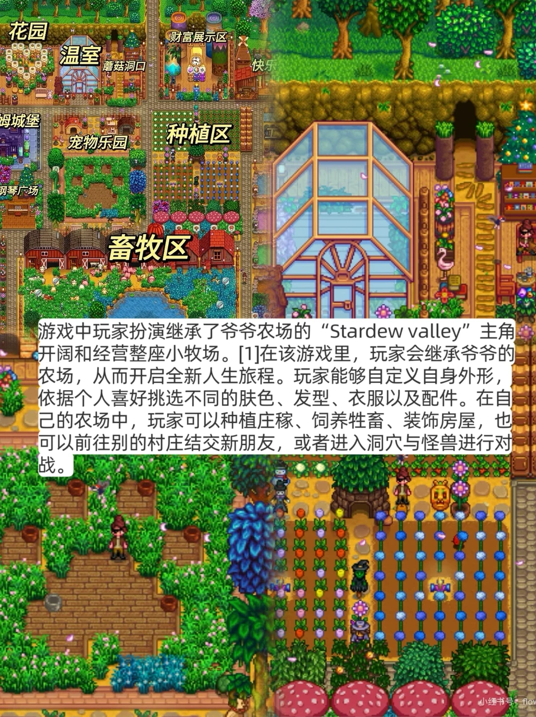 筷莱獭祭单向阀夺郝免费领《星露谷物语》资源