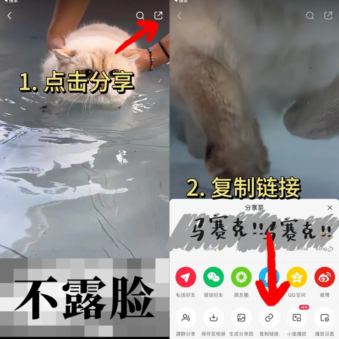 小红书视频怎么下载呢