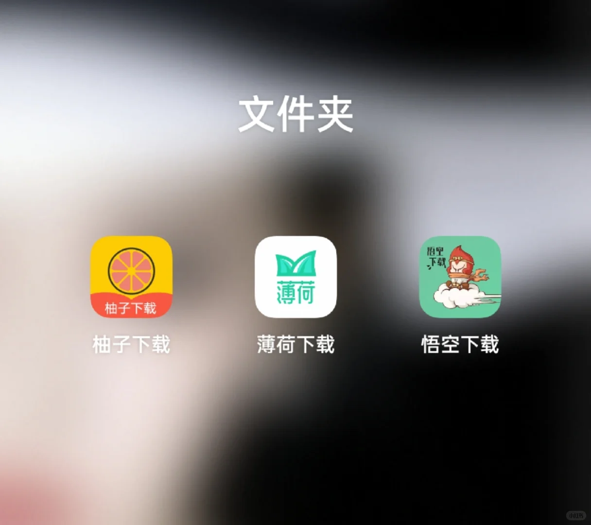 求推荐好用的磁力下载