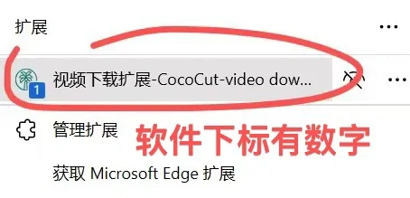 网页里面的视频怎么下载2