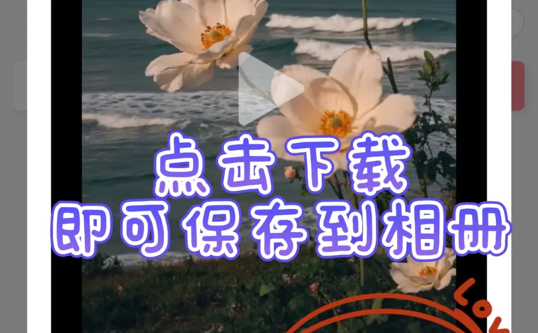 无法下载喜欢的视频怎么办？？