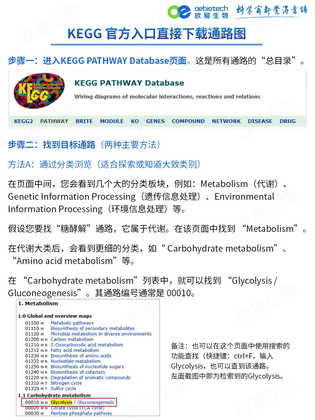 手把手教学｜一分钟下载高清KEGG通路图