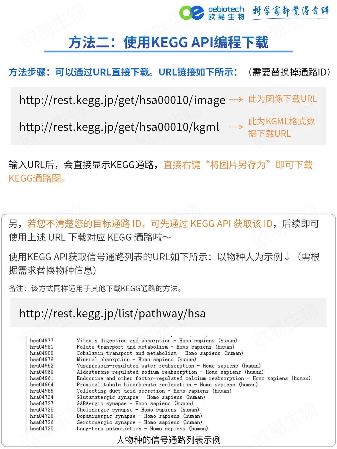 手把手教学｜一分钟下载高清KEGG通路图