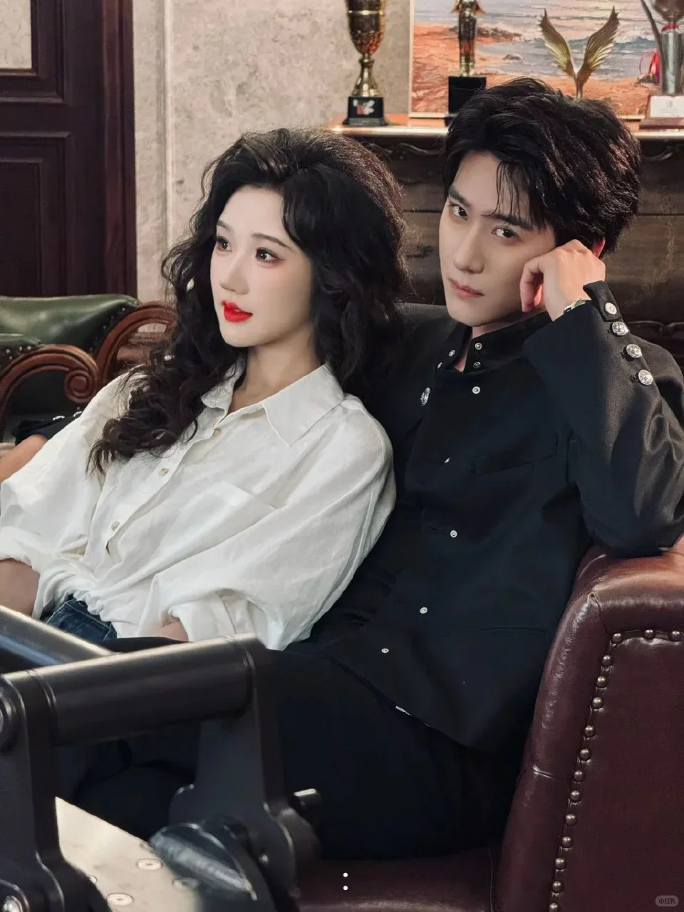 难攀京枝，赵公子好贵气，好看，十星推荐！